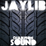 Jaylib - The Red (Remix)