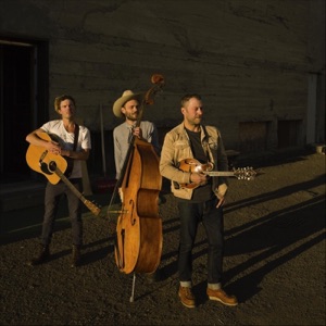 Wouldn't You Know - Single