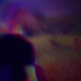 Burning Tree (feat. Apropos, Tee Goode & Jalen Cardell) B. Quiet