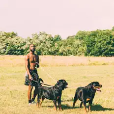 Dengarkan Say Kuro, tonton video musik, baca bio, lihat tanggal tur & lainnya!