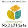 No Bad Parts: Healing Trauma and Restoring Wholeness with the Internal Family Systems Model (Unabridged) - Richard C. Schwartz Ph.D. & Alanis Morissette - foreword, introduction