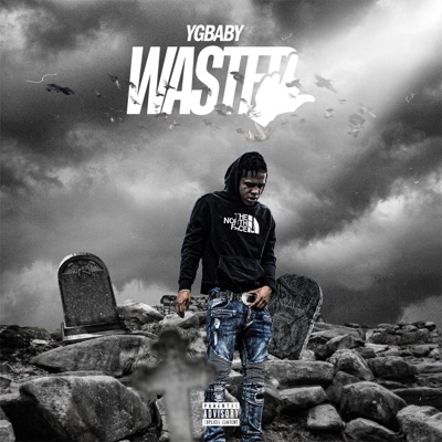 WASTED (feat. Midwest Got It) - Single