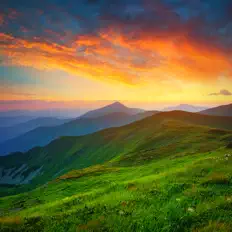 收听 Nature Sounds Nature Seasons、观看音乐视频、阅读小传、查看巡演日期等 ！