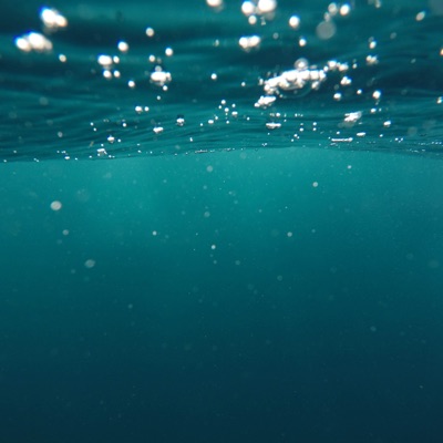 Into the Abyss - Single