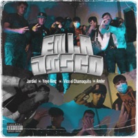 En la Disco (feat. Yeye king, Jardiel & Vico El Chamaquito) - Single - Ander aa