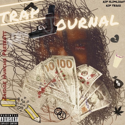 Trap Journal