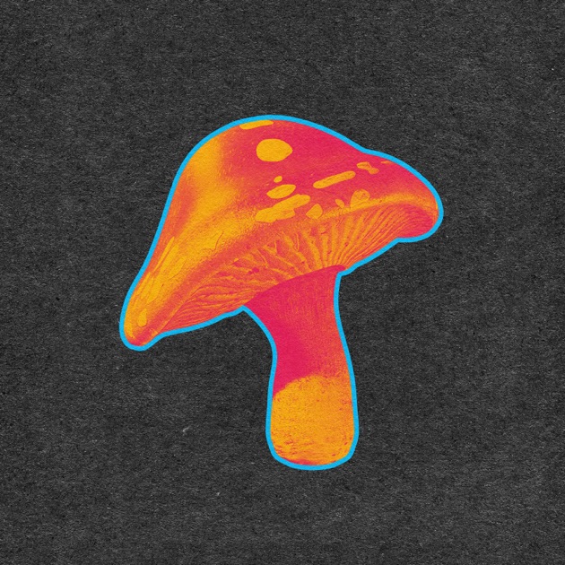 Future Development - Album by Del the Funky Homosapien