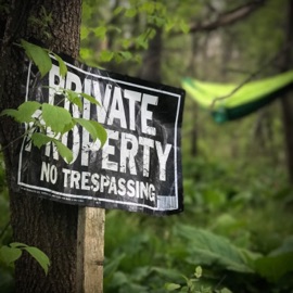 Butterflies (feat. LY) Zebreazy