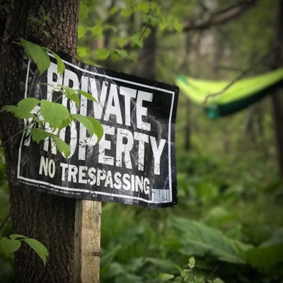 Butterflies (feat. LY) - Single