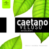 Samba de Verão - Caetano Veloso