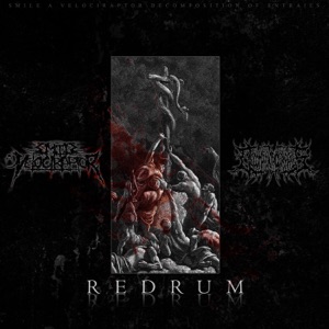 Redrum (Instrumental Version)
