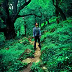 Listen to CEZEN MUSIC, watch music videos, read bio, see tour dates & more!