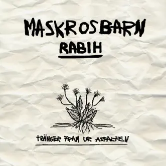 Maskrosbarn - Single by Rabih album reviews, ratings, credits