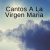 Cantos a la Virgen María - Single