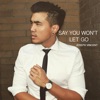 Say You Won't Let Go