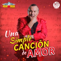 Una Simple Canción de Amor