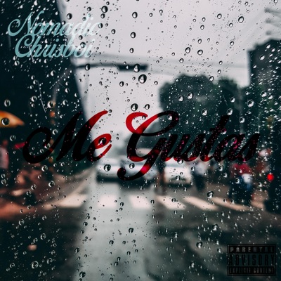Me Gustas (feat. Chrisboi) - Single