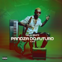 Pandza do Futuro - Helio Beatz