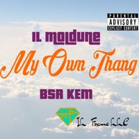 My Own Thang (feat. BSR KEM) - Single - IL Moldune