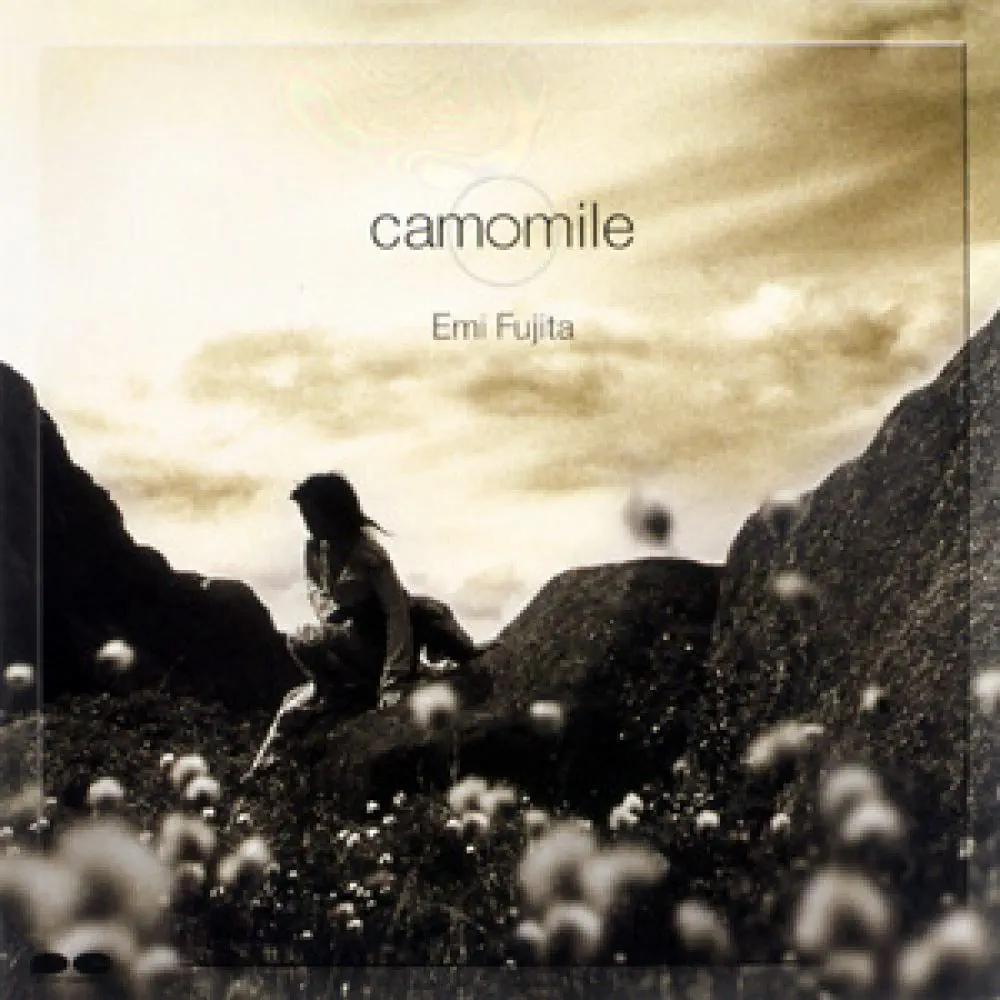 藤田恵美 - camomile (2001) [iTunes Plus AAC M4A]-新房子