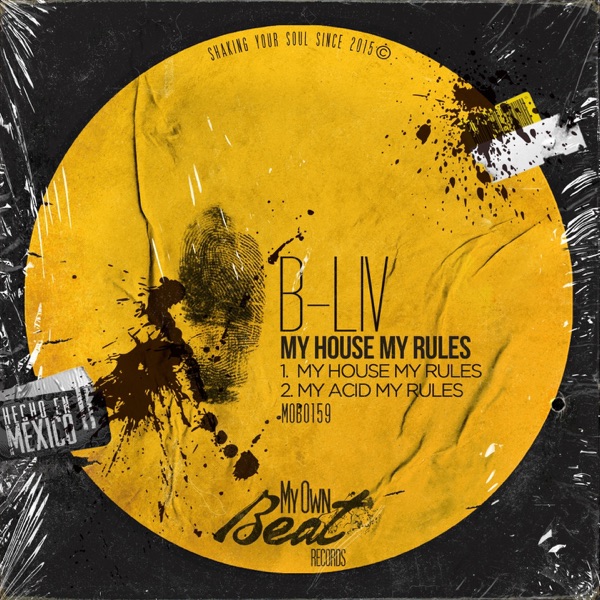 My House My Rules - Single