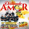 Destilando Amor (feat. Aarón y Su Grupo Ilusión) - Single