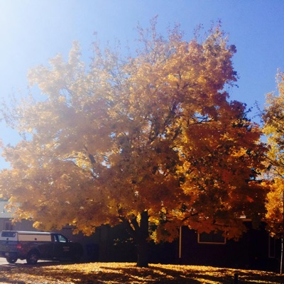 Autumn Leaves (Single Version) [Single Version]