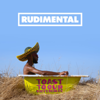 Scared of Love (feat. Ray BLK & Stefflon Don)-Rudimental