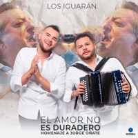 EL AMOR NO ES DURADERO