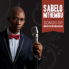 Songs of Brotherhood - Sabelo Mthembu