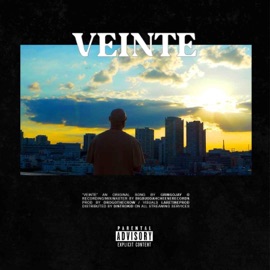 Veinte (feat. Drogo The Crow) Gringo Jay