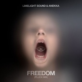 Freedom (Pluck Mix) artwork