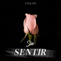 Sin Sentir - Single - Vxle Mt