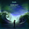 Illusion Remixes (feat. Nami) - Rude Boy