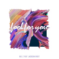 Fool for You (feat. Jackson Breit) - Single - Big Z