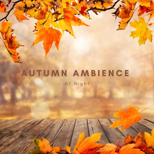 Autumn Ambience At Night