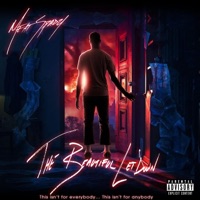 The Beautiful Letdown - MeatSpady