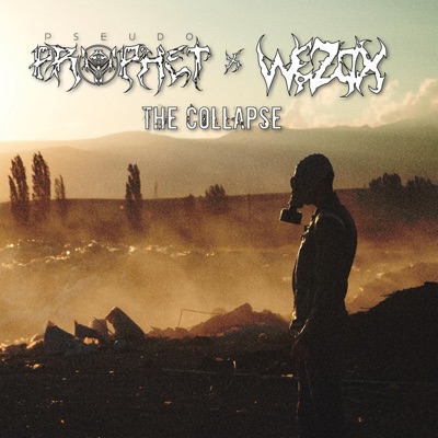 The Collapse (feat. WEZOX) - Single