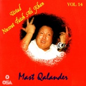 Mast Qalander, Vol. 14 artwork