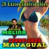 20 Éxitos Inolvidables