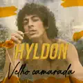 Camarada