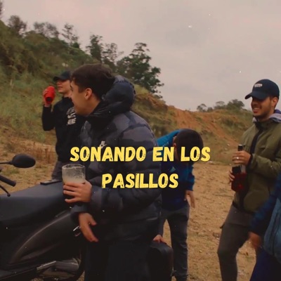 Sonando En Los Pasillos - Single