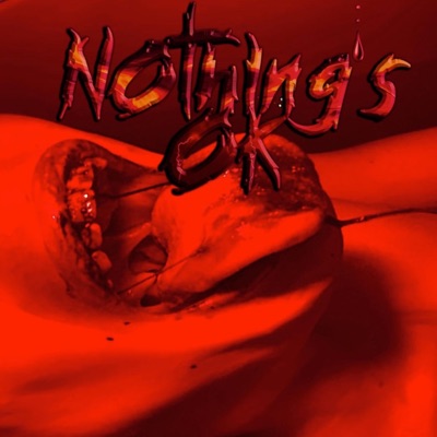 Nothing's Ok - Single