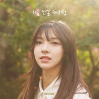 앨범아트