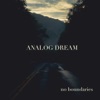 Analog Dream