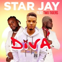 Diva (feat. Two Tigers) - Single - StarJay