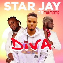 Diva (feat. Two Tigers) StarJay