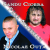 Fără Adversari - Nicolae Guță & Sandu Ciorba