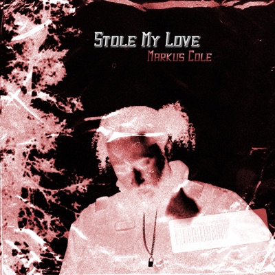 Stole My Love - Single