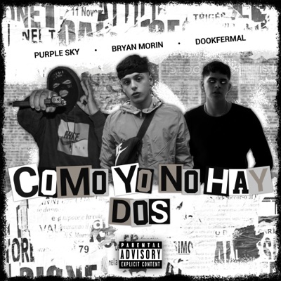 Como Yo No Hay Dos (feat. DookFerMal & Purple Sky) - Single